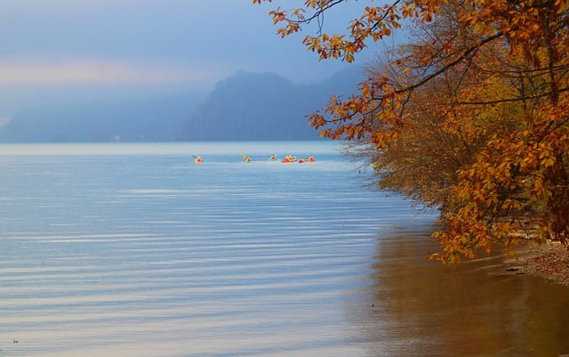 Free download lake thun mountain bay leaves fall free picture to be edited with GIMP free online image editor