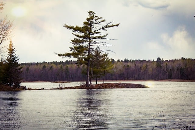 Free download lake trees forest nature free picture to be edited with GIMP free online image editor