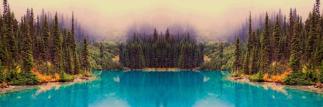 Free download lake trees forest shore nature free picture to be edited with GIMP free online image editor