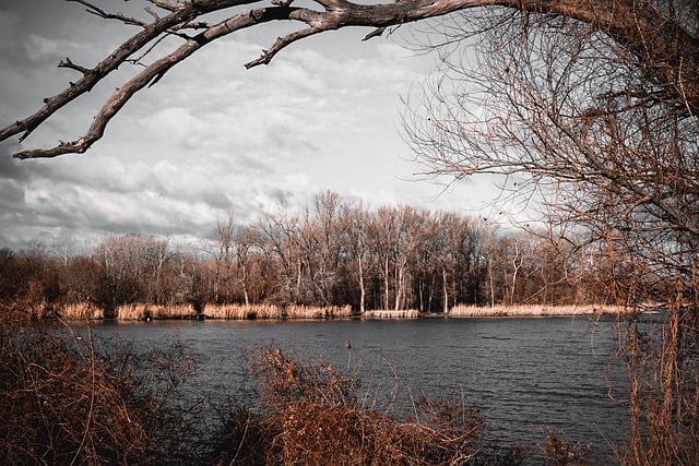 قم بتنزيل صورة مجانية لأشجار البحيرة والغابات والواجهة البحرية لتحريرها باستخدام محرر الصور المجاني عبر الإنترنت GIMP