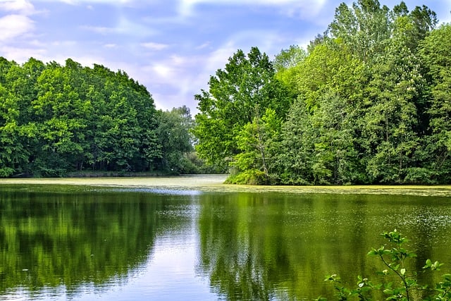 Free download lake trees nature pond water free picture to be edited with GIMP free online image editor
