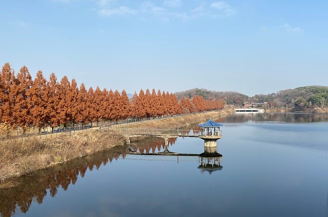 Free download lake trees pier korea seoul free picture to be edited with GIMP free online image editor
