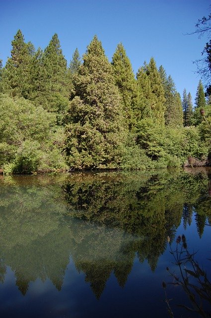 Gratis download Lake Trees Reflection - gratis gratis foto of afbeelding om te bewerken met GIMP online afbeeldingseditor