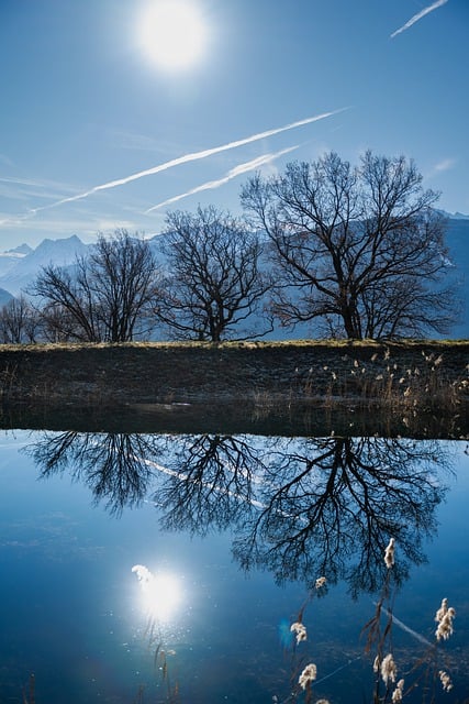 Free download lake trees reflection water blue free picture to be edited with GIMP free online image editor