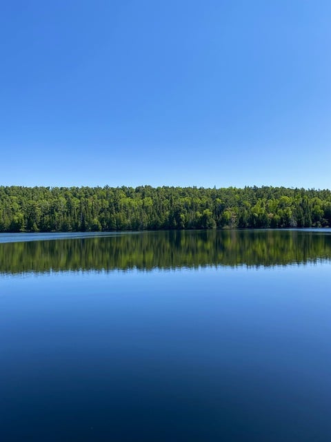 जीआईएमपी मुफ्त ऑनलाइन छवि संपादक के साथ संपादित करने के लिए मुफ्त डाउनलोड करें झील के पेड़ पानी आकाश को प्रतिबिंबित करते हैं