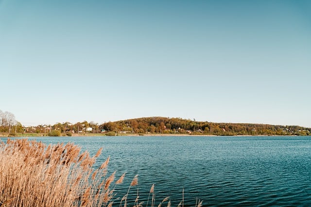 Free download lake trees water sky horizon hill free picture to be edited with GIMP free online image editor
