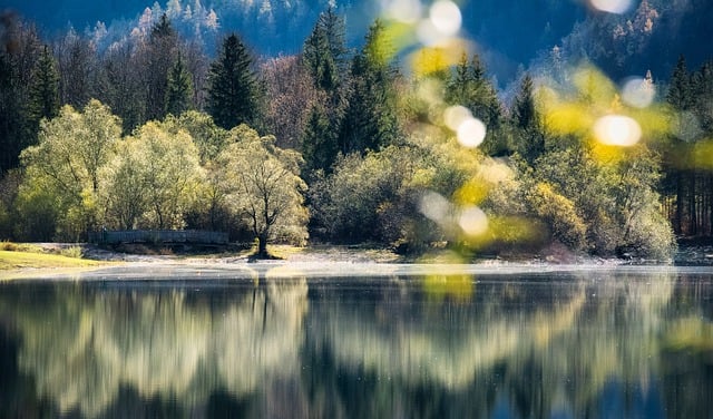 Free download lake trees woods reflection fall free picture to be edited with GIMP free online image editor