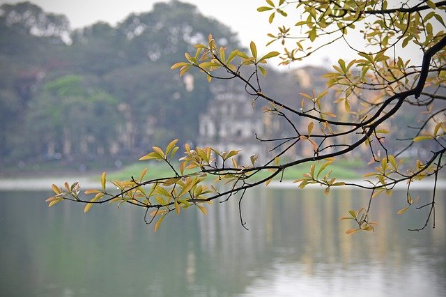 Free download Lake Turtle Tower Hoan Kiem -  free photo or picture to be edited with GIMP online image editor