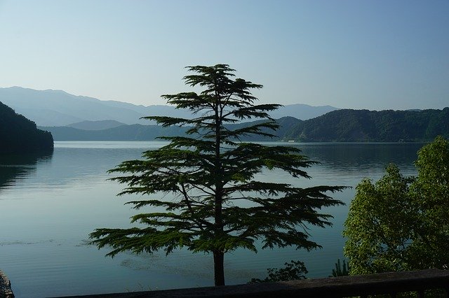 Lake Walking Even Going Wood'u ücretsiz indirin - GIMP çevrimiçi resim düzenleyici ile düzenlenecek ücretsiz fotoğraf veya resim