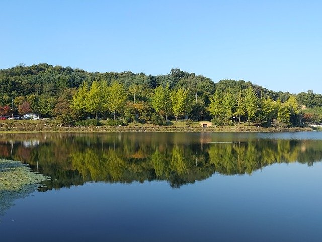 Free download Lake Water Autumn -  free photo or picture to be edited with GIMP online image editor
