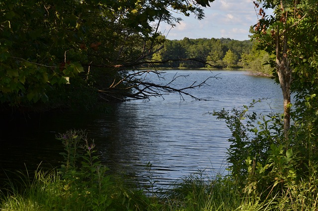 Free download lake water na landscape grass free picture to be edited with GIMP free online image editor