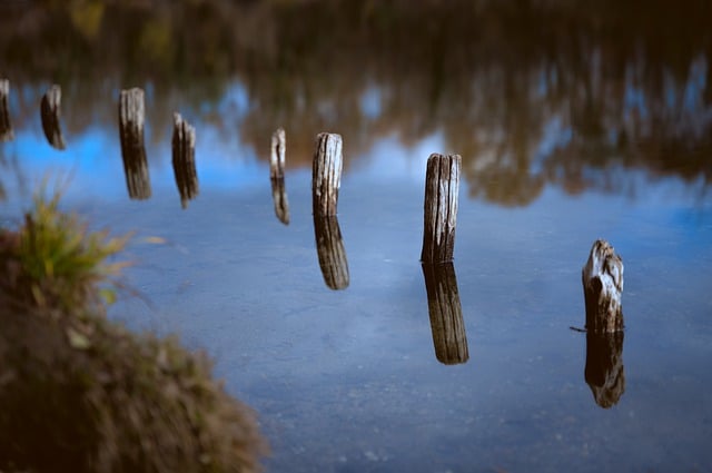 Free download lake water post piles reflection free picture to be edited with GIMP free online image editor