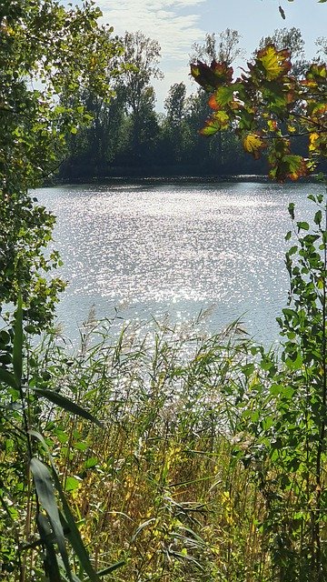Gratis download Lake Water Sunshine - gratis foto of afbeelding om te bewerken met GIMP online afbeeldingseditor