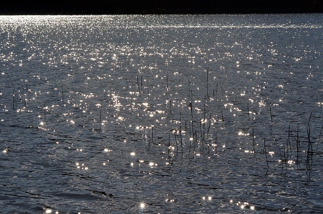 Free download lake waves wind water shine sun free picture to be edited with GIMP free online image editor