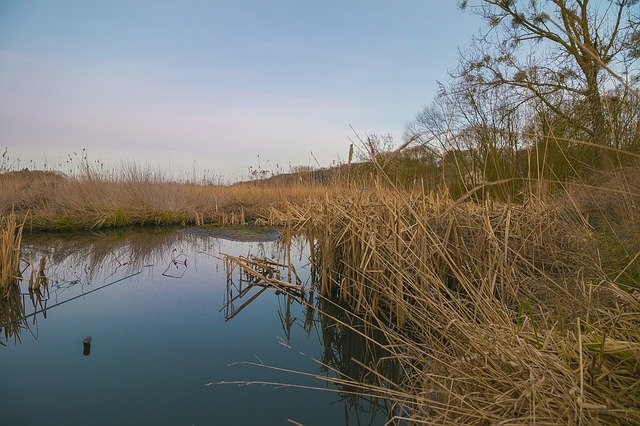 Lake Winter Cane Sweet 무료 다운로드 - 김프 온라인 이미지 편집기로 편집할 수 있는 무료 사진 또는 그림