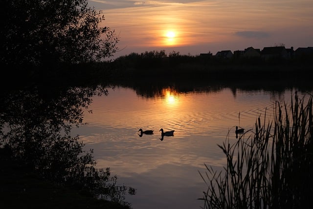 Free download lake winter sunset landscape free picture to be edited with GIMP free online image editor