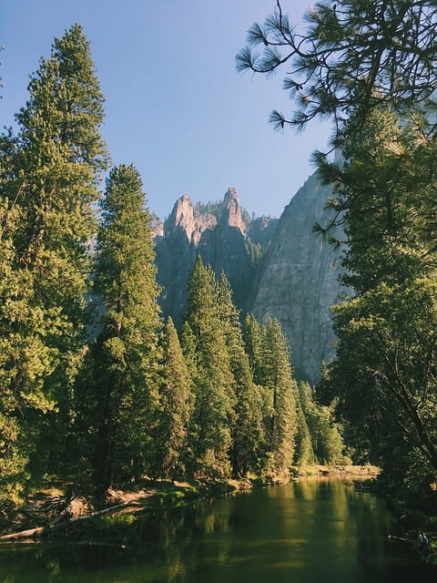 Free download lake yosemite trees forest free picture to be edited with GIMP free online image editor