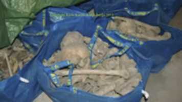 La La La La La (Around The World) | Extracted images only GIMP online editor free Free download La La La La La (Around The World) | Extracted images only free photo or picture to be edited with GIMP online image editor