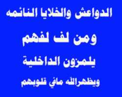 Free download lamaaz free photo or picture to be edited with GIMP online image editor