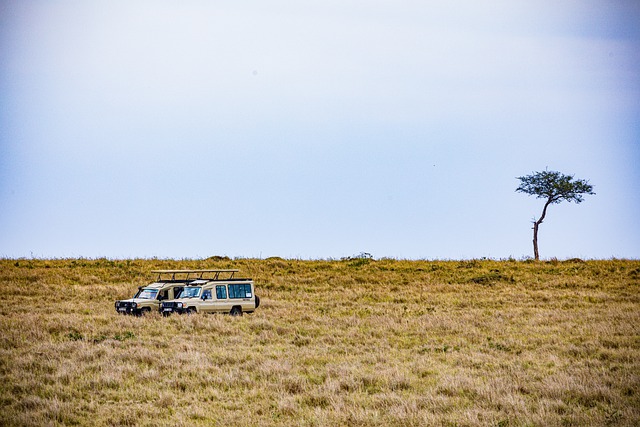 تنزيل مجاني لصورة Landcruiser National Park savannah ليتم تحريرها باستخدام محرر الصور المجاني عبر الإنترنت GIMP