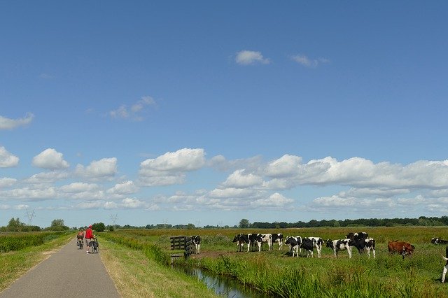 Free download Landscape Agricultural Bike Path -  free photo or picture to be edited with GIMP online image editor