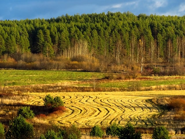 Free download landscape autumn field forest free picture to be edited with GIMP free online image editor