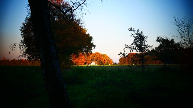 Gratis download Landschap Herfstbos - gratis gratis foto of afbeelding om te bewerken met GIMP online afbeeldingseditor