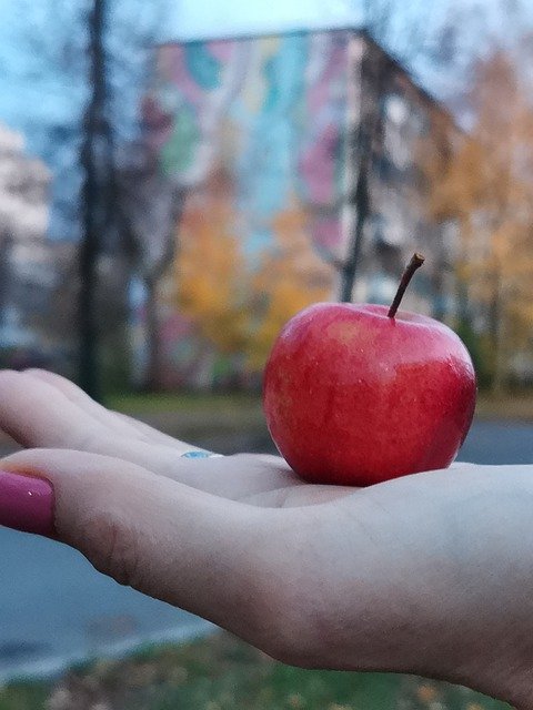 Téléchargement gratuit de Paysage d'automne rouge - photo ou image gratuite à éditer avec l'éditeur d'images en ligne GIMP