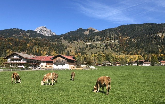 Muat turun percuma Ladang Landskap Bavaria - foto atau gambar percuma untuk diedit dengan editor imej dalam talian GIMP