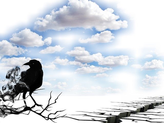 Free graphic Landscape Bird Sky -  to be edited by GIMP free image editor by OffiDocs