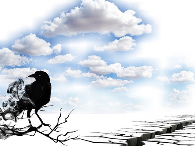 Free download Landscape Bird Sky -  free illustration to be edited with GIMP free online image editor