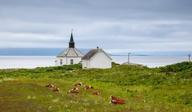 Free download landscape cattle cows pen pasture free picture to be edited with GIMP free online image editor