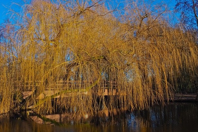 ດາວໂຫຼດຟຣີ Landscape Channel Nature ແມ່ແບບຮູບພາບທີ່ບໍ່ເສຍຄ່າເພື່ອແກ້ໄຂດ້ວຍຕົວແກ້ໄຂຮູບພາບອອນໄລນ໌ GIMP