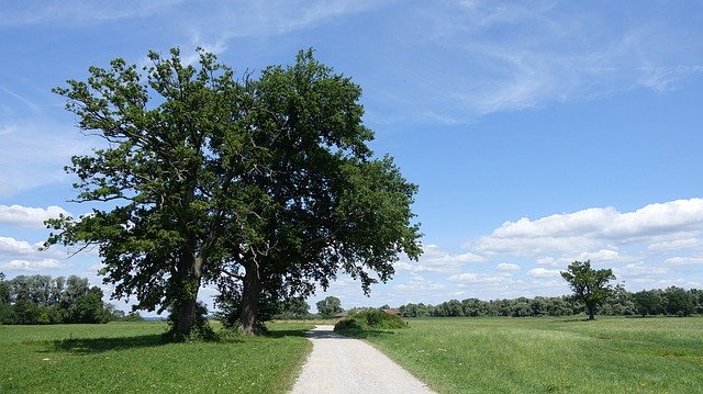 Download grátis Paisagem Chiemgau Baviera - foto ou imagem gratuita a ser editada com o editor de imagens online GIMP