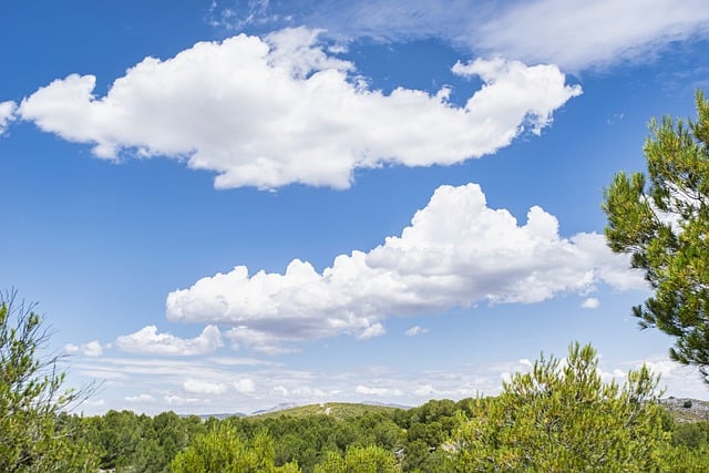 Free download landscape darling clouds pine free picture to be edited with GIMP free online image editor