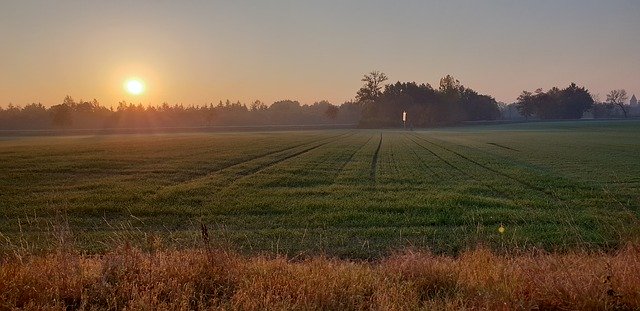 ດາວ​ໂຫຼດ​ຟຣີ Landscape East Field In The - ຮູບ​ພາບ​ຟຣີ​ຫຼື​ຮູບ​ພາບ​ທີ່​ຈະ​ໄດ້​ຮັບ​ການ​ແກ້​ໄຂ​ກັບ GIMP ອອນ​ໄລ​ນ​໌​ບັນ​ນາ​ທິ​ການ​ຮູບ​ພາບ​