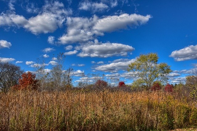 Muat turun percuma Landscape Fall Prairie - foto atau gambar percuma untuk diedit dengan editor imej dalam talian GIMP