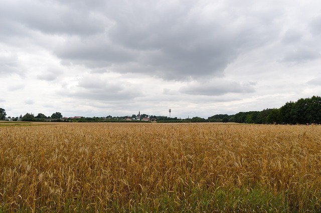 Free download Landscape Field Agriculture -  free photo or picture to be edited with GIMP online image editor