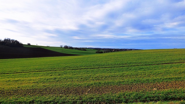 Free download landscape fields sky cloud tree free picture to be edited with GIMP free online image editor
