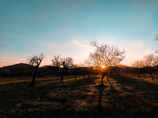 Gratis download Landscape Field Sunset - gratis gratis foto of afbeelding die kan worden bewerkt met de online afbeeldingseditor van GIMP
