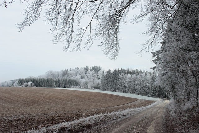 Free download landscape forest fields hoarfrost free picture to be edited with GIMP free online image editor