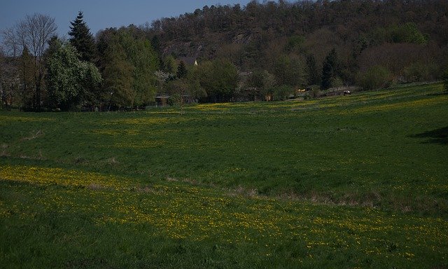 Téléchargement gratuit Paysage Vert Jaune - photo ou image gratuite à éditer avec l'éditeur d'images en ligne GIMP