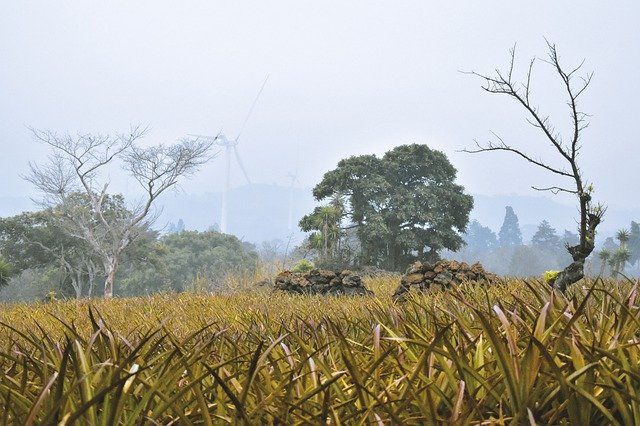 Unduh gratis Landscape Guatemala Sky - foto atau gambar gratis untuk diedit dengan editor gambar online GIMP