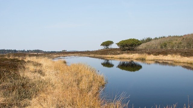 Free download Landscape Lake Heath Trees -  free photo or picture to be edited with GIMP online image editor