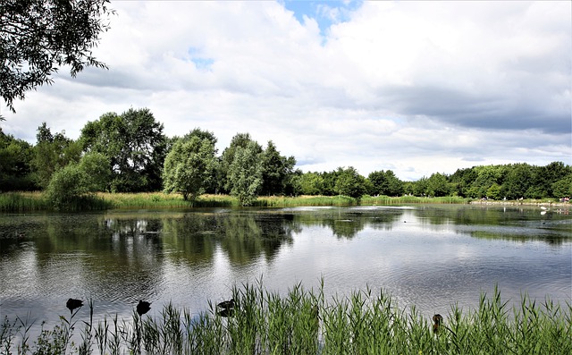 Free download landscape lake nature water forest free picture to be edited with GIMP free online image editor