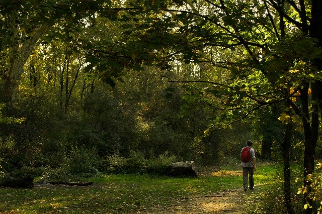 הורדה חינם Landscape Lake Park - תמונה או תמונה בחינם לעריכה עם עורך התמונות המקוון GIMP