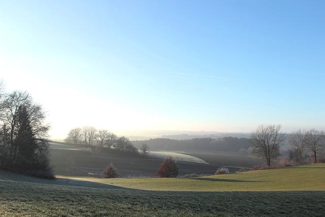 Free download landscape meadow forest frost fog free picture to be edited with GIMP free online image editor