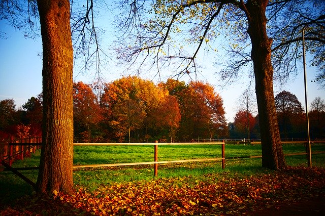 Descarga gratuita Landscape Meadow Whey: fotos o imágenes gratuitas para editar con el editor de imágenes en línea GIMP
