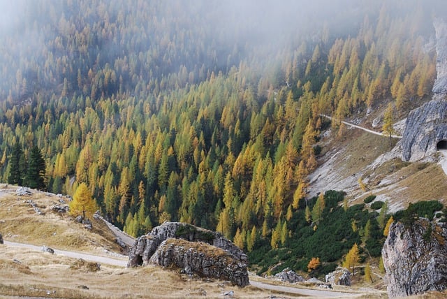 Free download landscape mountain forest nature free picture to be edited with GIMP free online image editor