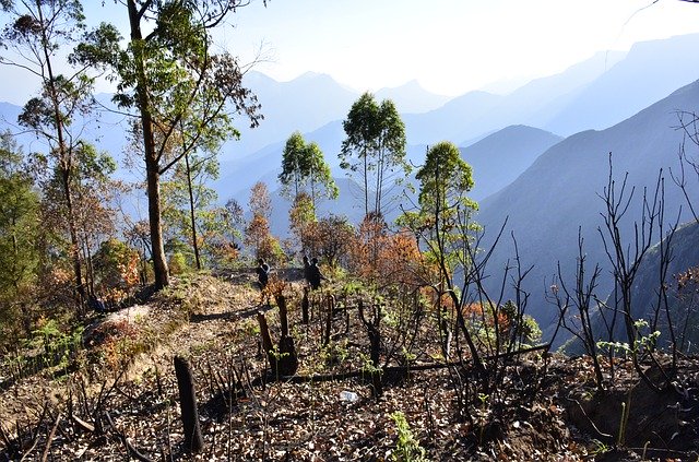 무료 다운로드 풍경 산 Kodaikanal - 무료 사진 또는 김프 온라인 이미지 편집기로 편집할 수 있는 사진